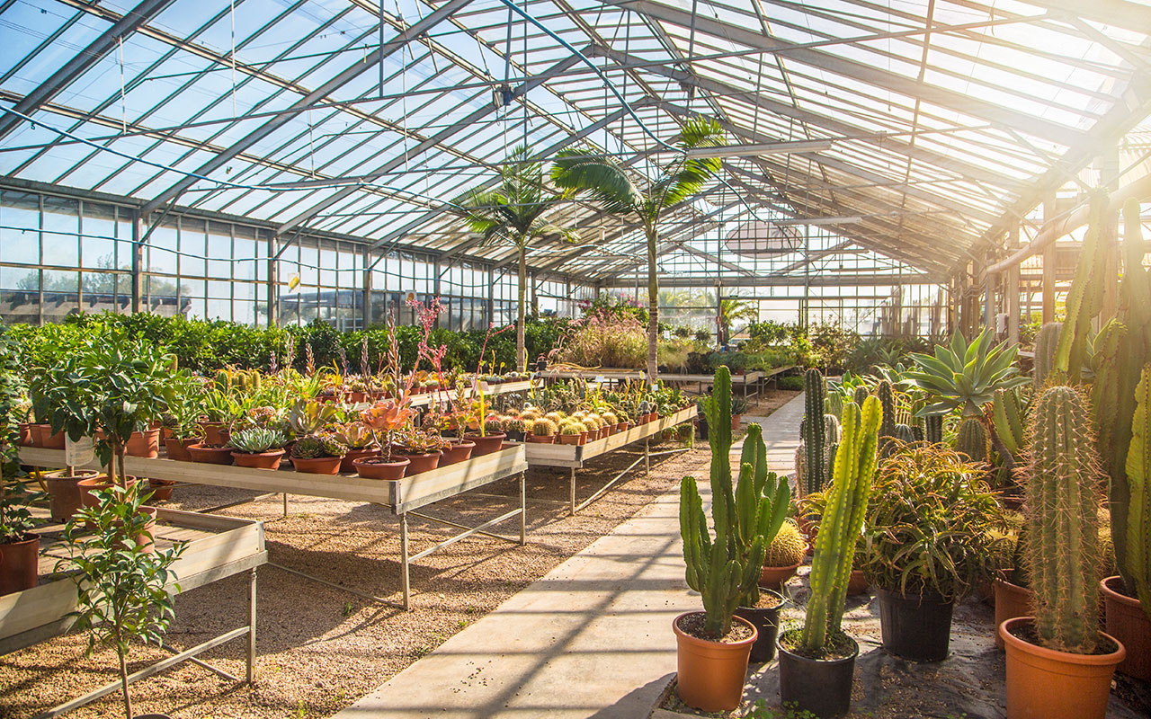 Serre - Greenhouses
