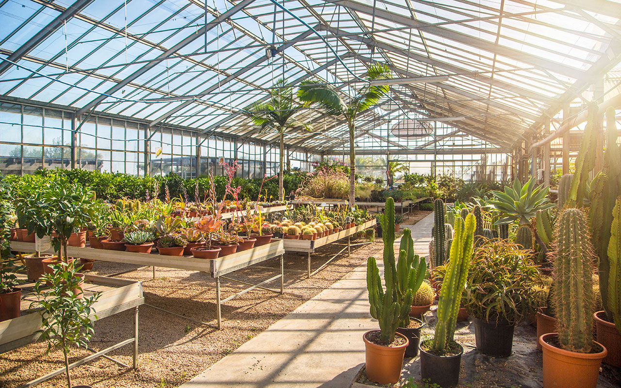 Serre - Greenhouses Serre - Greenhouses