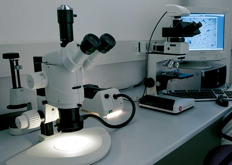 ricerca-sviluppo-01